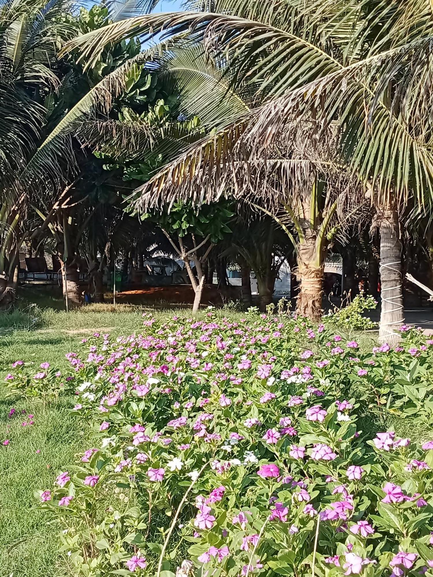 Bien Ngoc Homstay Phan Thiết Exteriér fotografie